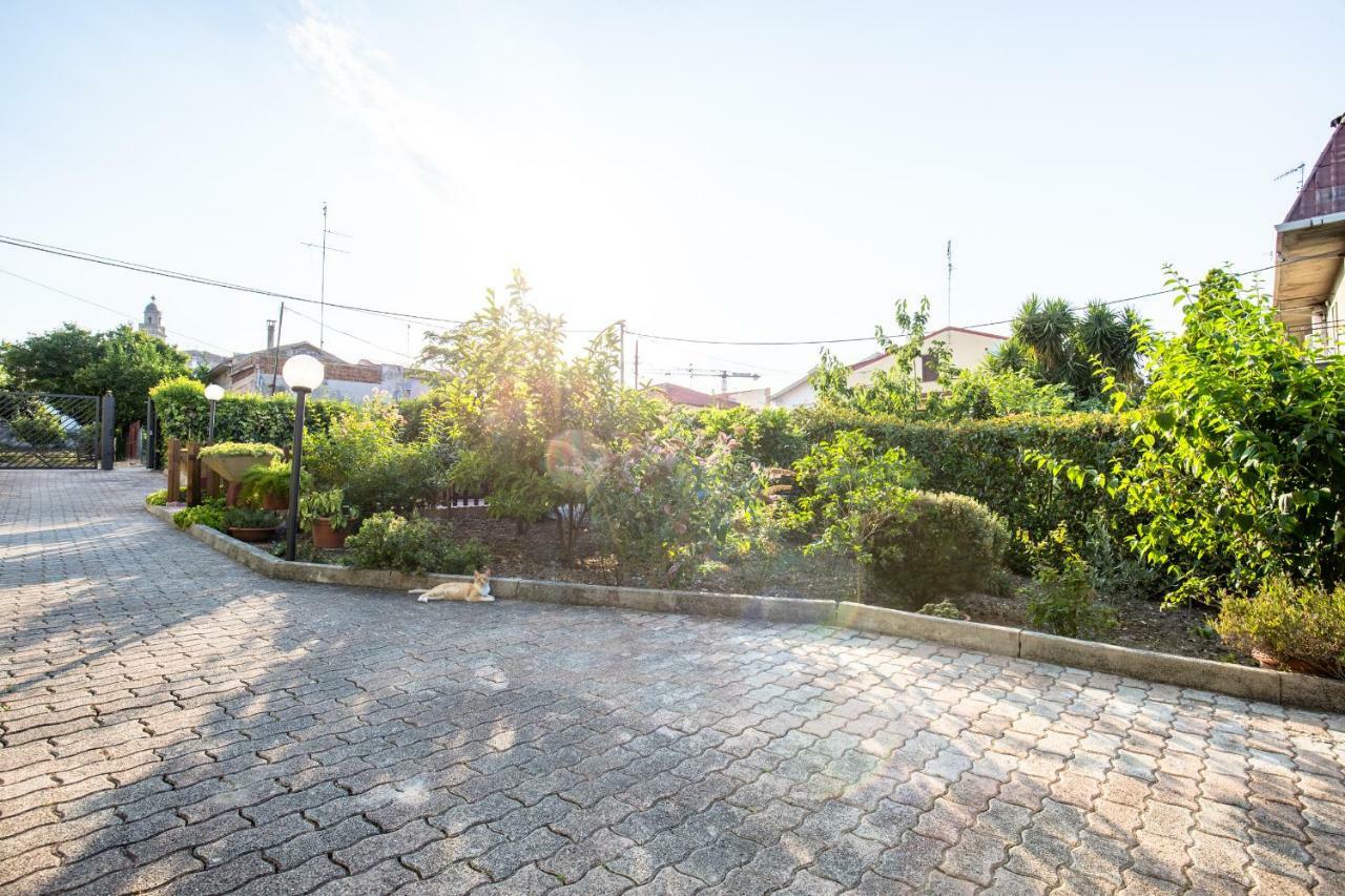 Selene BeB Bed & Breakfast Casalbordino Eksteriør bilde